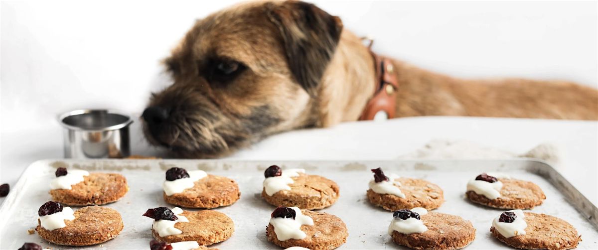Dog treat Making w\/ Amanda!
