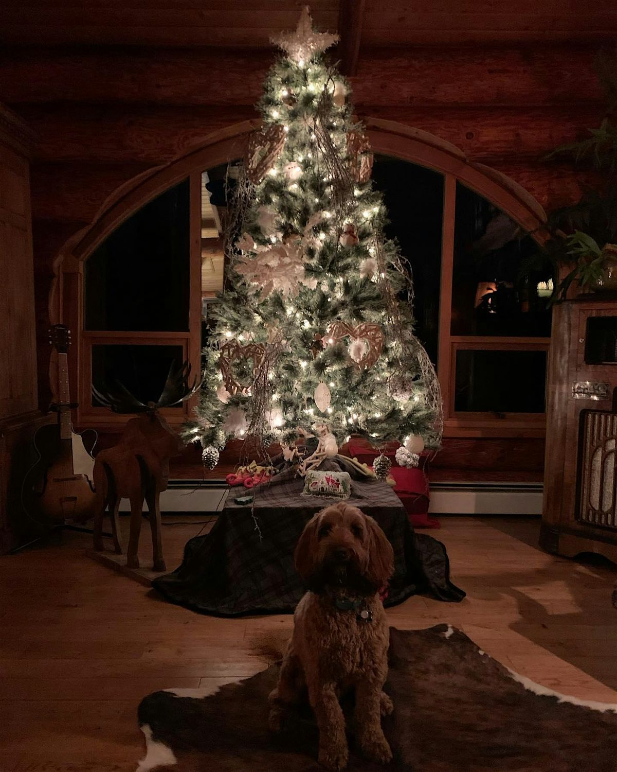 Twinkle & Flow:Christmas Yoga at At The View Winery With Gingerbread & Wine