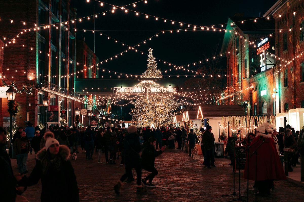 Pay-What-You-Feel: Old Town \u2192 Distillery District (Winter-Smart Walk)