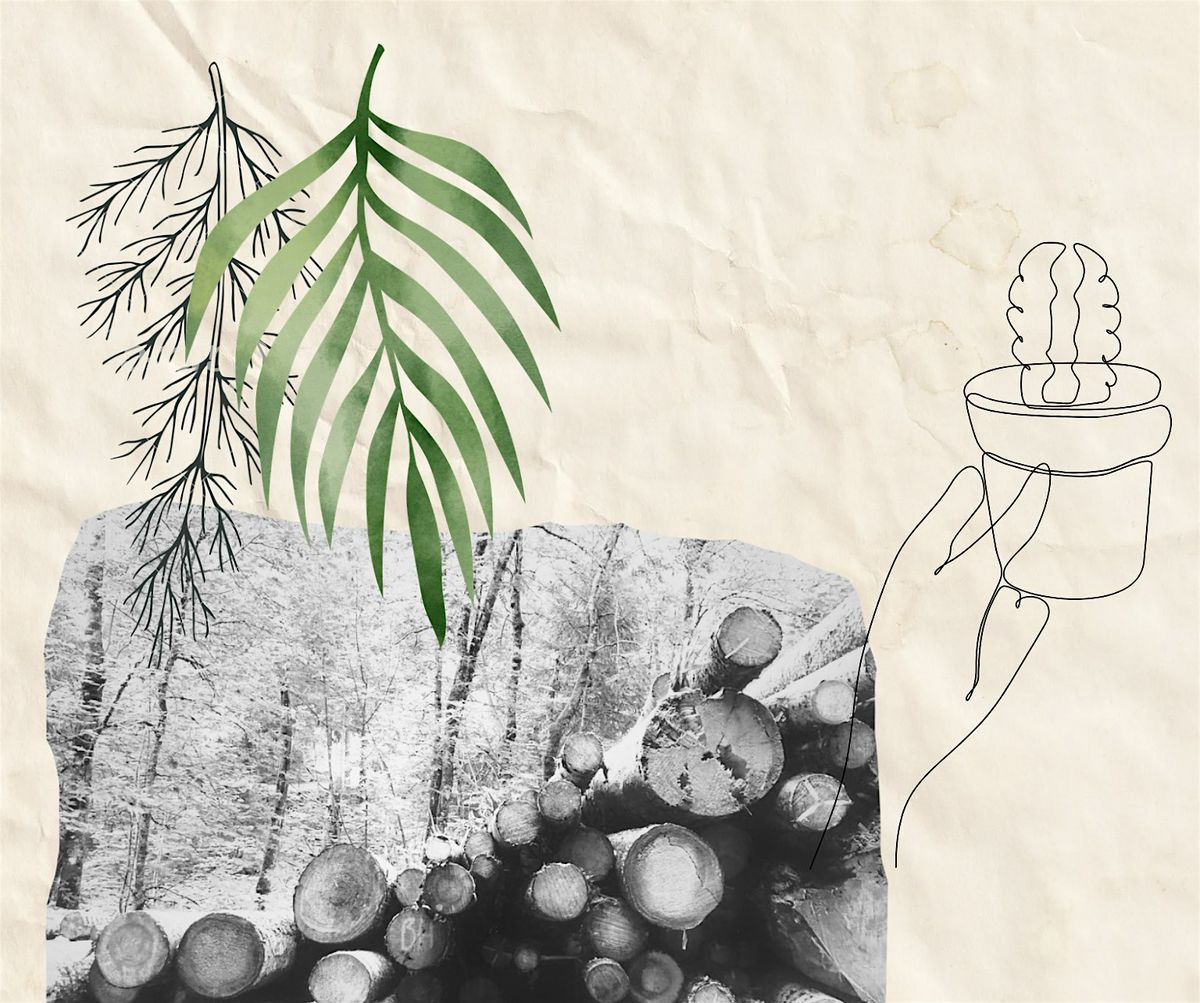 Travelling with Seeds