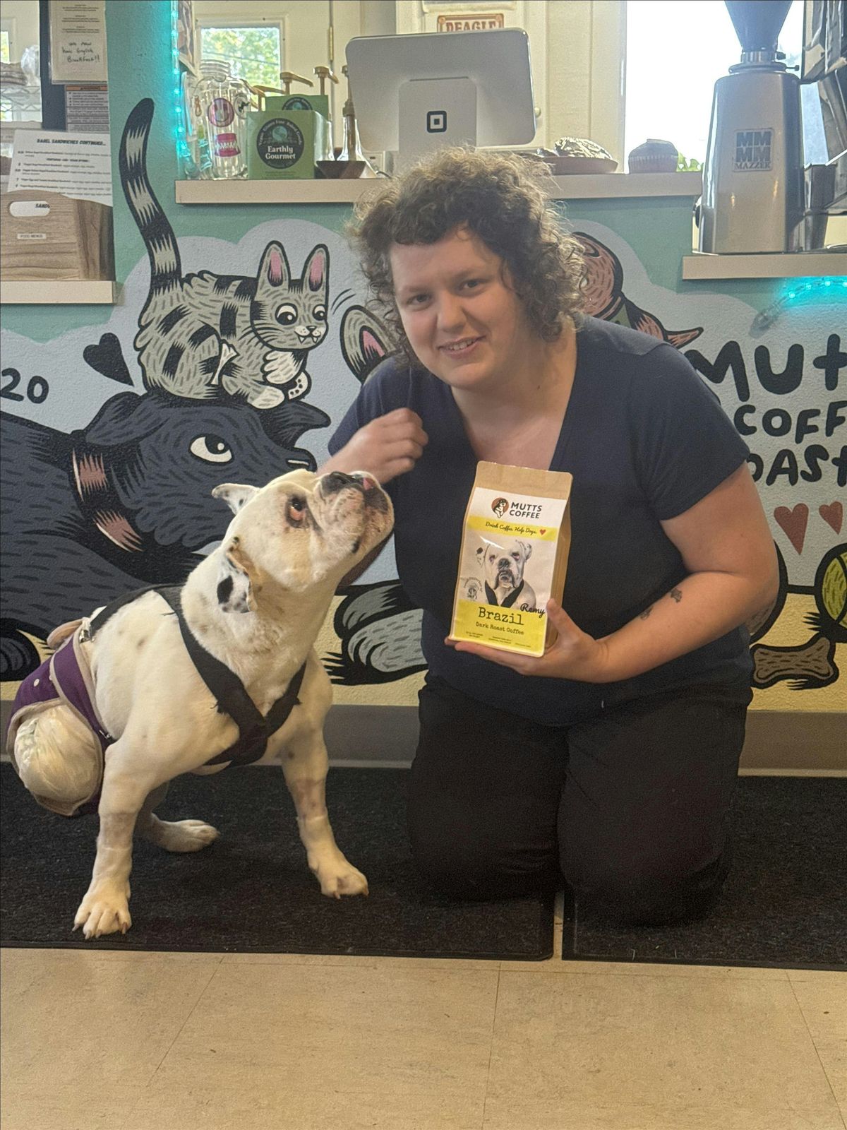 LEGO Sales and Holiday Pet Portriat Fundraiser