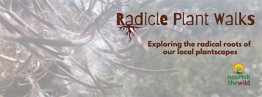 Radicle Plant Walks London - Markfield Park, South Tottenham