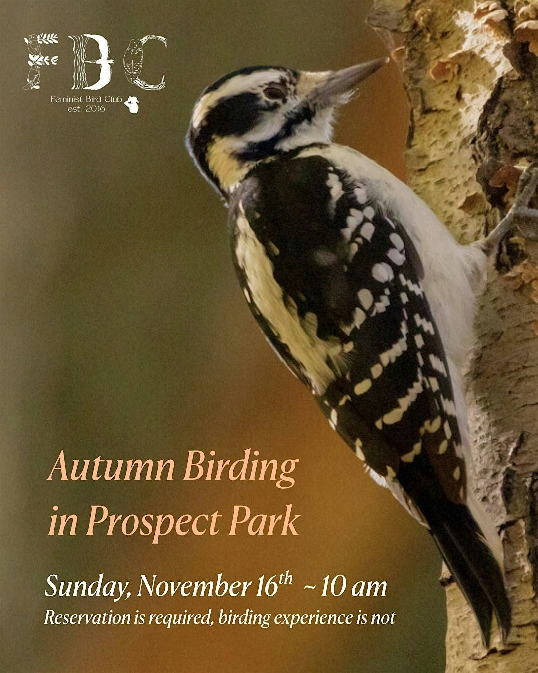 Autumn Birding in Prospect Park