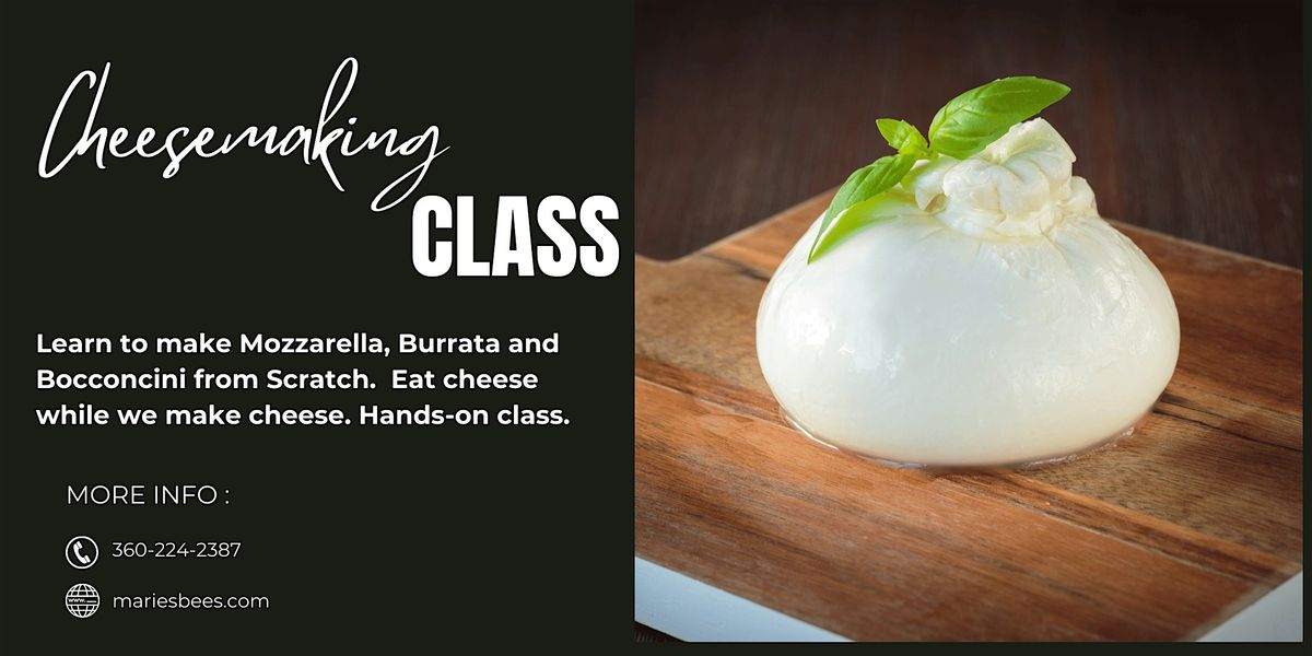 Let's Make Mozzarella, Burrata and Bocconcini!