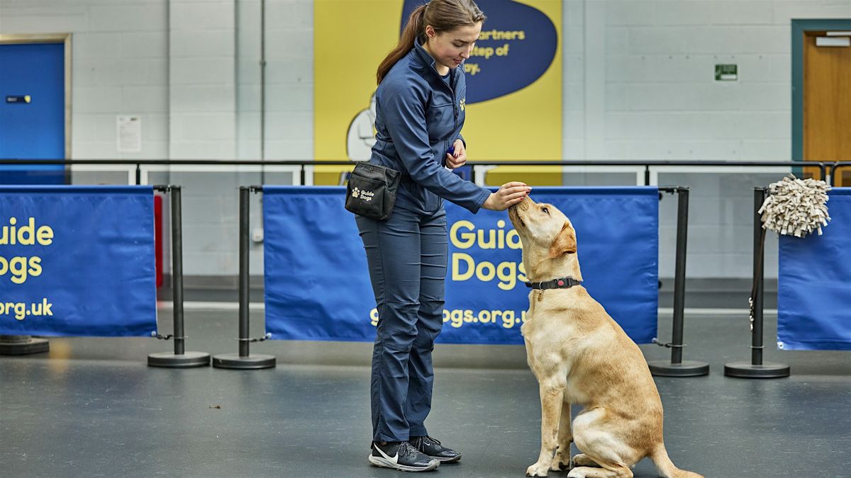 Guide Dogs - Classic Experience - Forfar (2025) at Guide Dogs for the ...