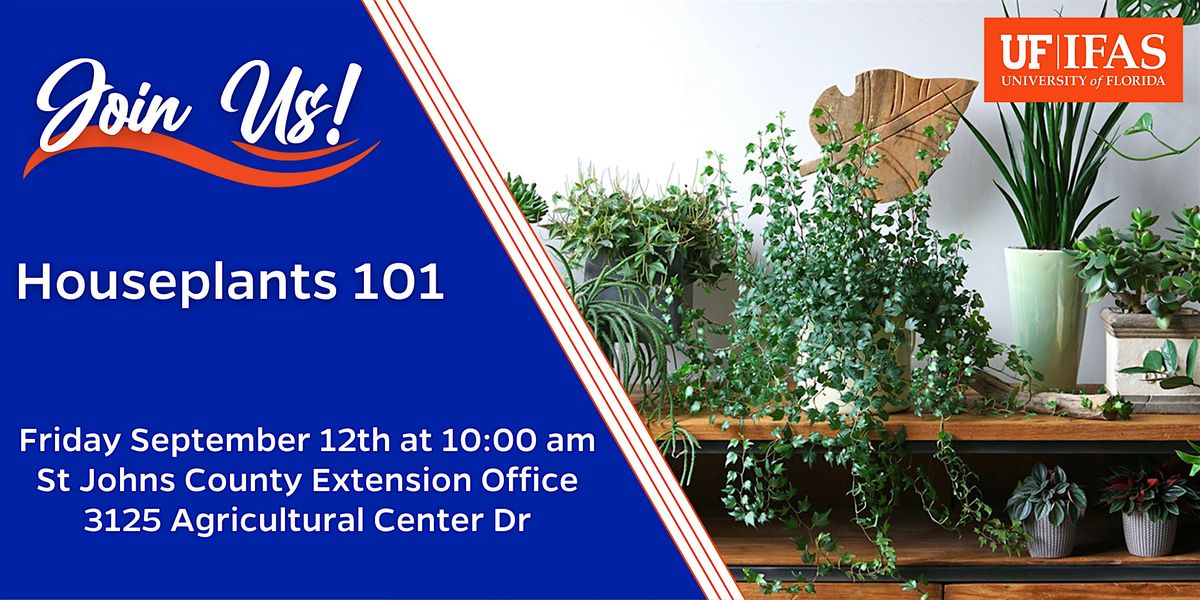 Houseplants 101