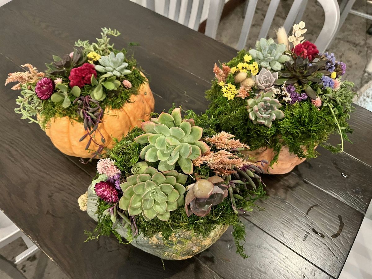 Succulent Pumpkins & Sips