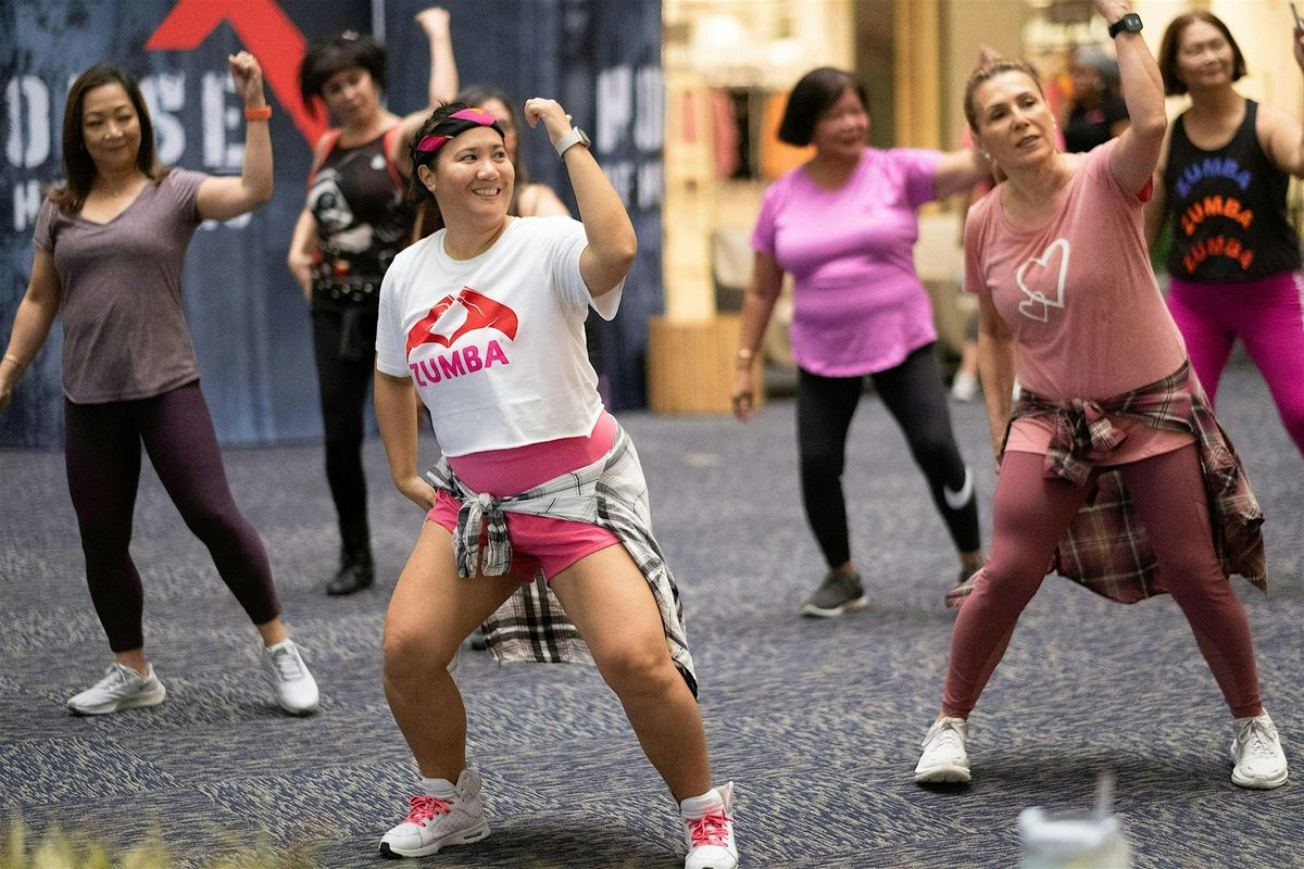Zumba Fitness Series