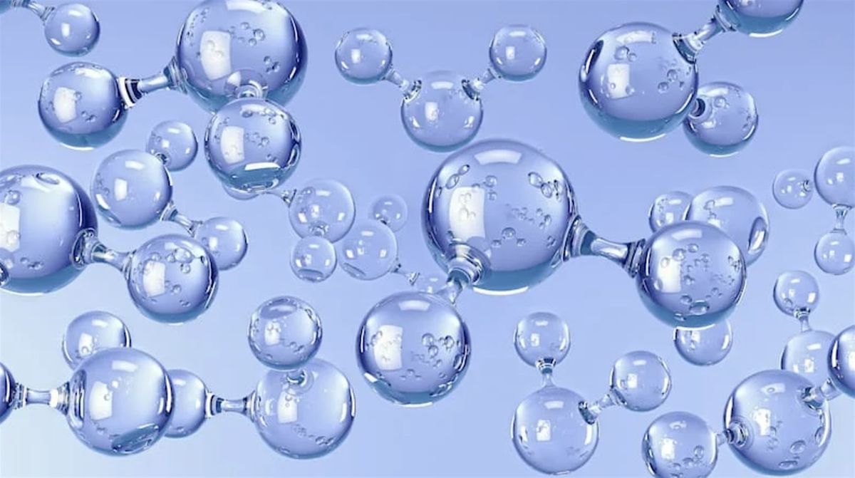 Water Education Class at Blue Zone Waters SUNDAY NOVEMBER 16th @ 12:00 PM