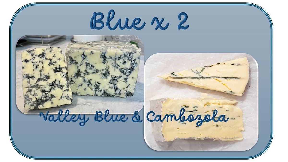 Cheesemaking - BLUE X 2 Cambozola & Valley Blue