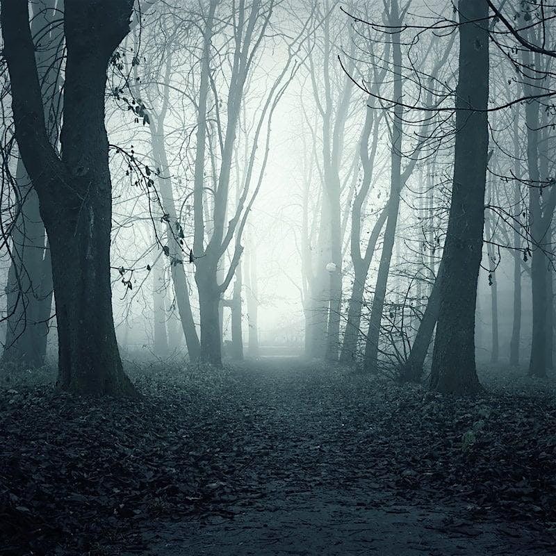 Twilight Terrors: A Battlefield Ghost Walk