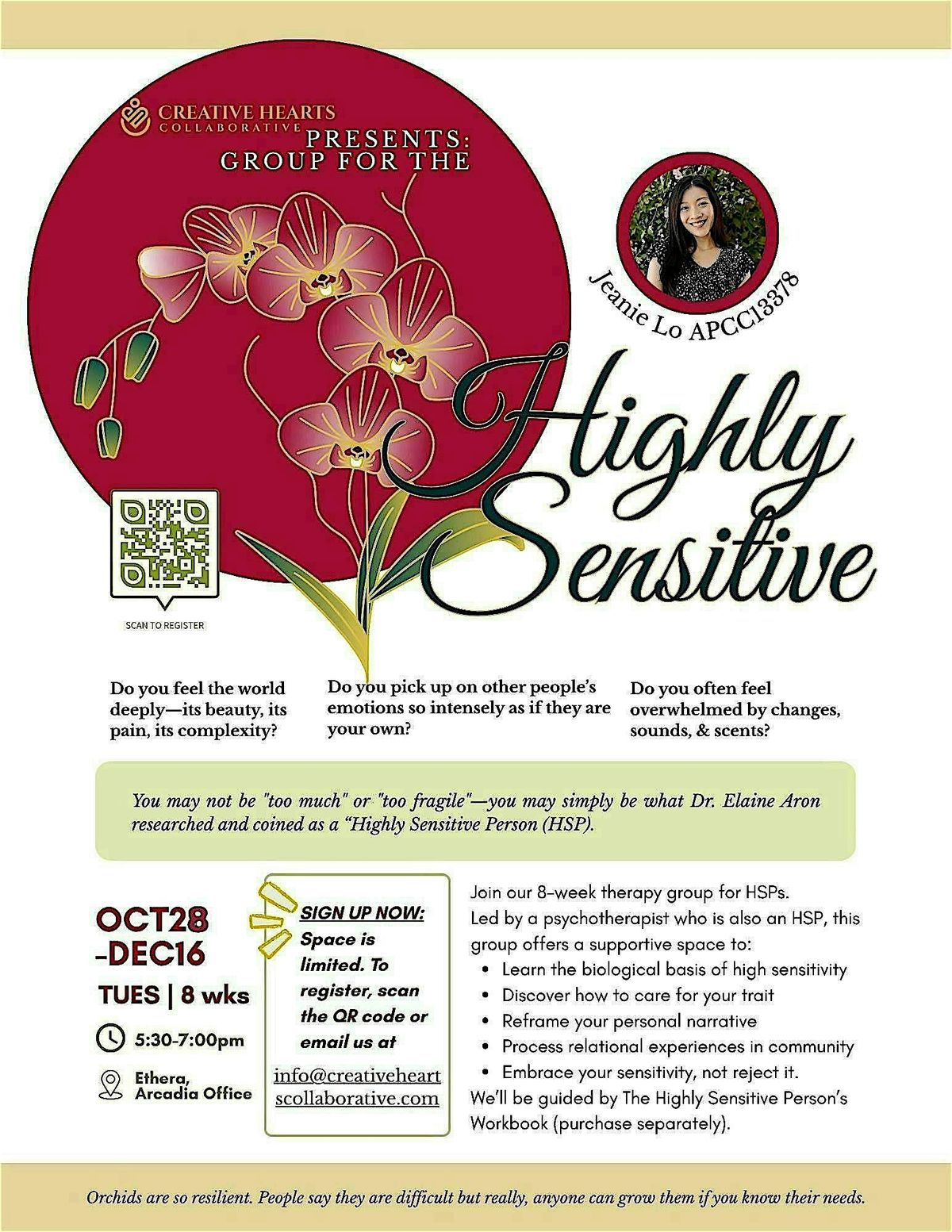 Weekly Support Group for Highly Sensitive Person