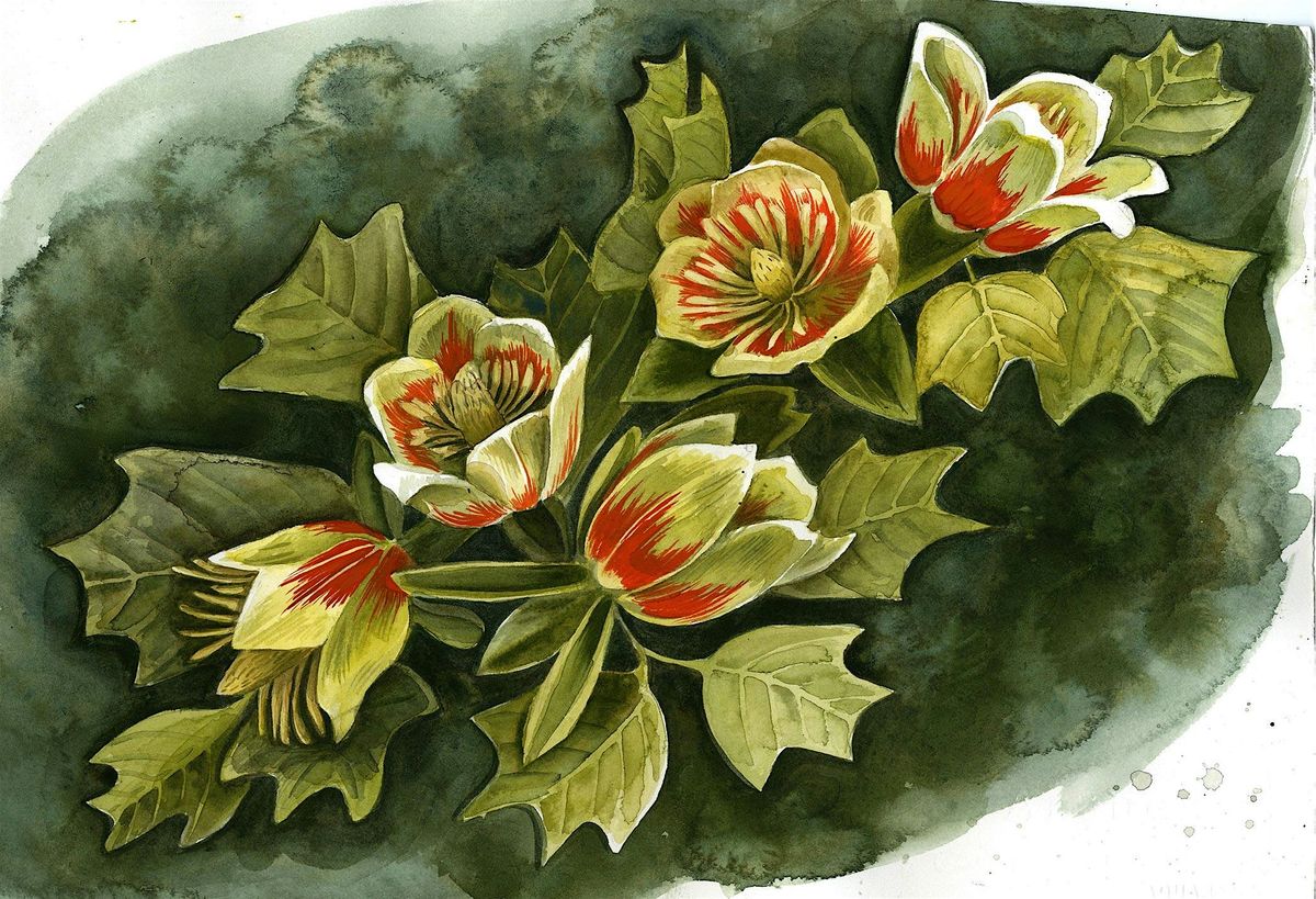 Watercolor for Beginners: Spring Petals