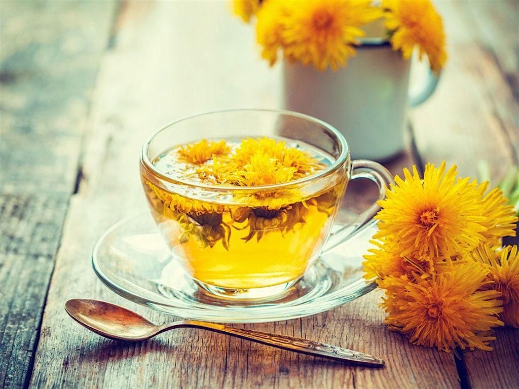 Herb Class - Digestive Health! Learn to be the Healthiest You!