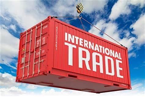 Government & Strategic Resources for International Success