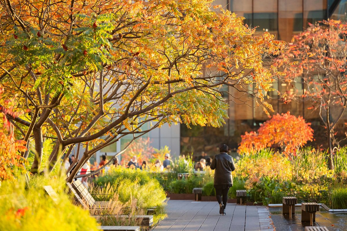 \u9ad8\u7ebf\u516c\u56ed\u5bfc\u89c8 | High Line Tour in Mandarin Chinese