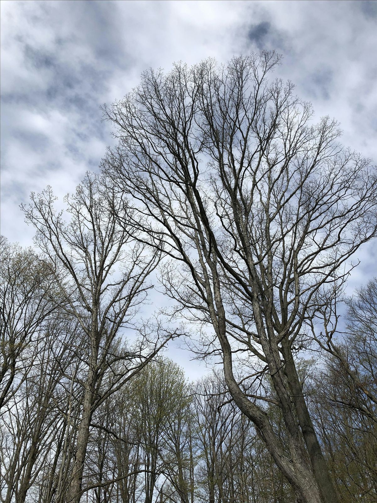 CRC Winter Chapter Hike -- Little Light Challenge