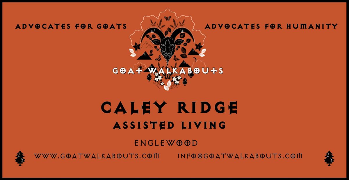 GOAT WALKABOUTS - CALEY RIDGE