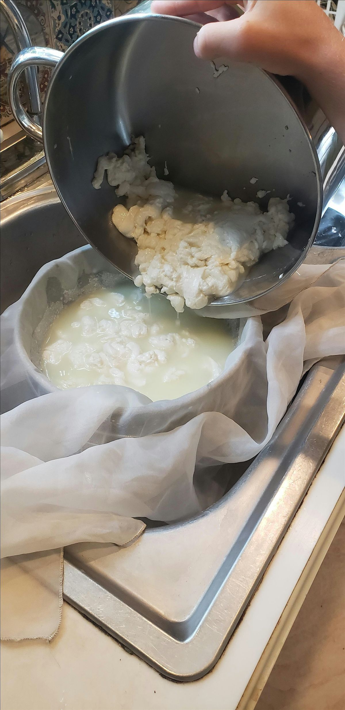 3 Cheeses In Three Hours - August