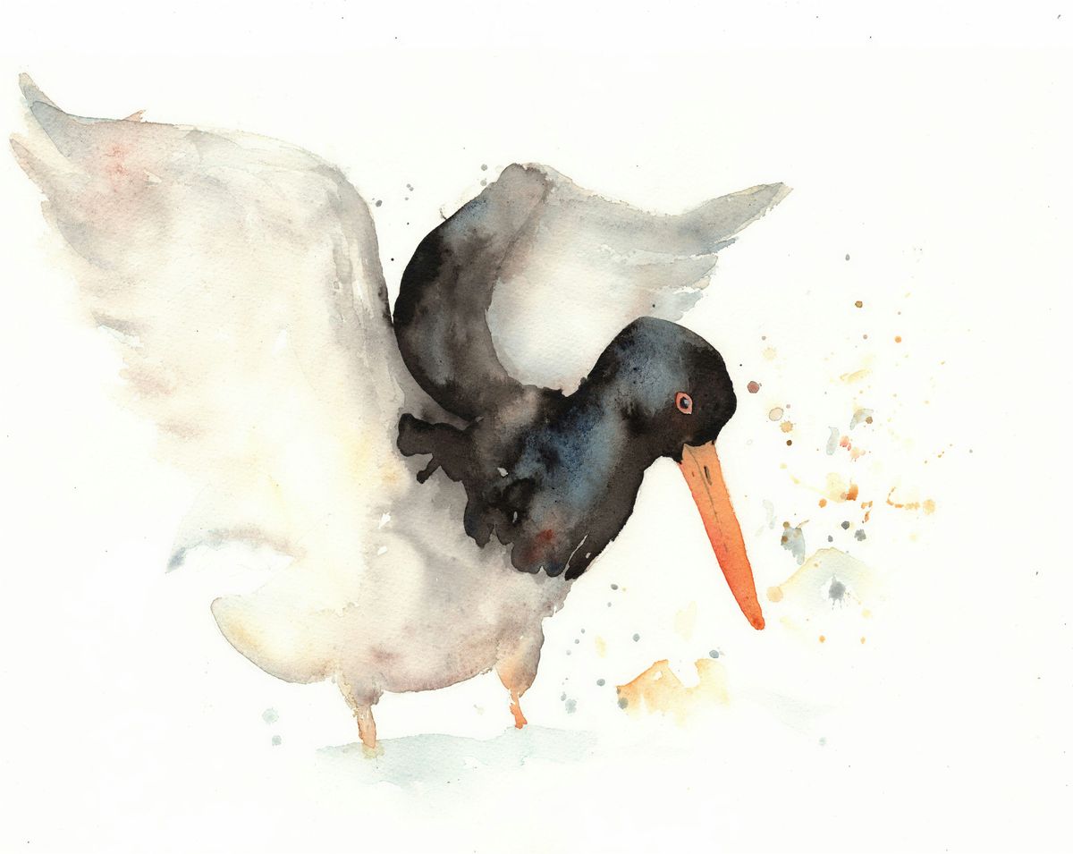 Wonderful Waders: Bird Painting with Tim Gomersall
