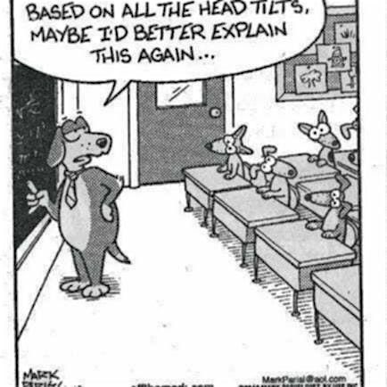 Build a Healthy Classroom (and love your job again)