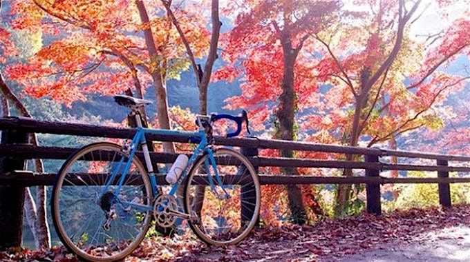 Trek Fresno and Fairway Lounge Brunch Ride