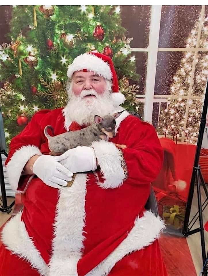 Santa, his reindeer Tinker, sleigh, and Elsa Intro to Riding Ages 3 and up