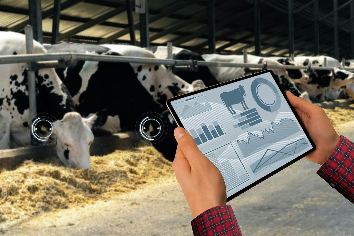 Emerging Research Showcase:  AI and Precision Livestock Farming