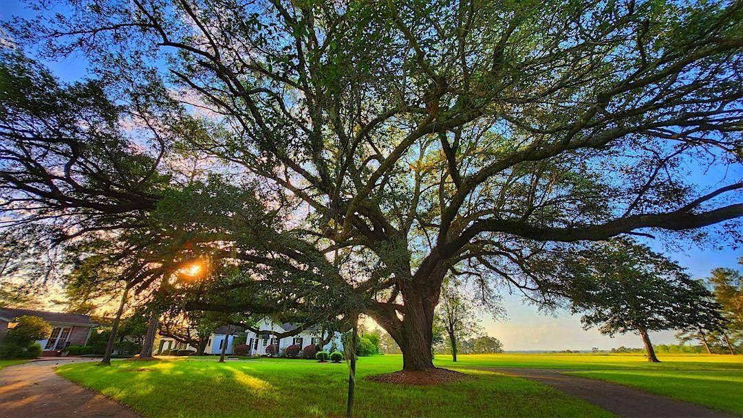 One day Yoga Retreat with DJ Taz Rashid at Mistletoe in Tallahassee, FL