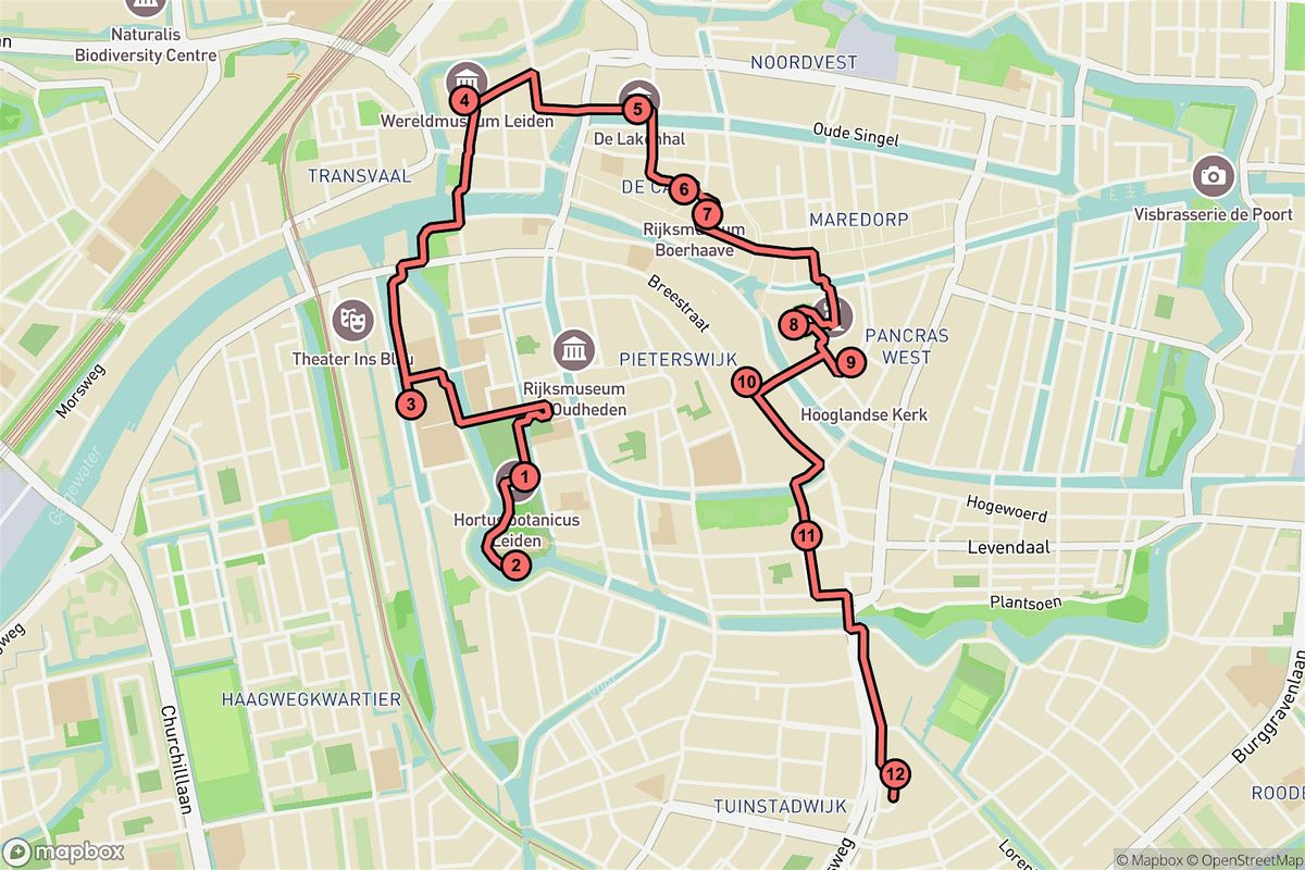 Leiden Audio Tour: From Ancient Libraries to Starry Skies