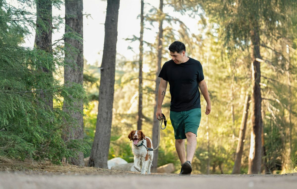 Hike & Hounds - Los Angeles