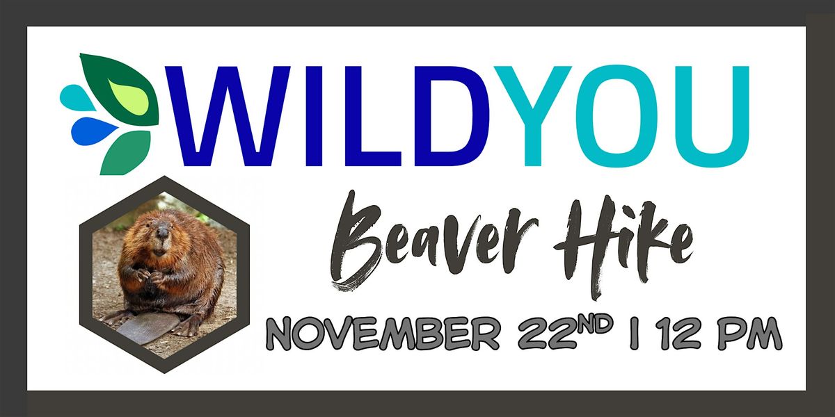 Beaver Hike