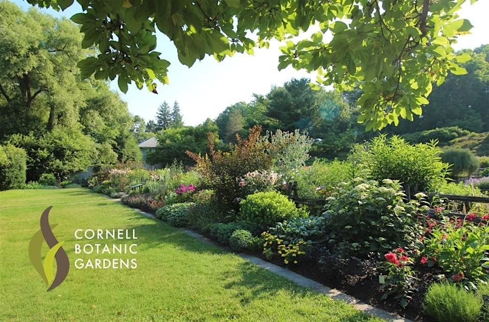 Around the World in Eight Plants