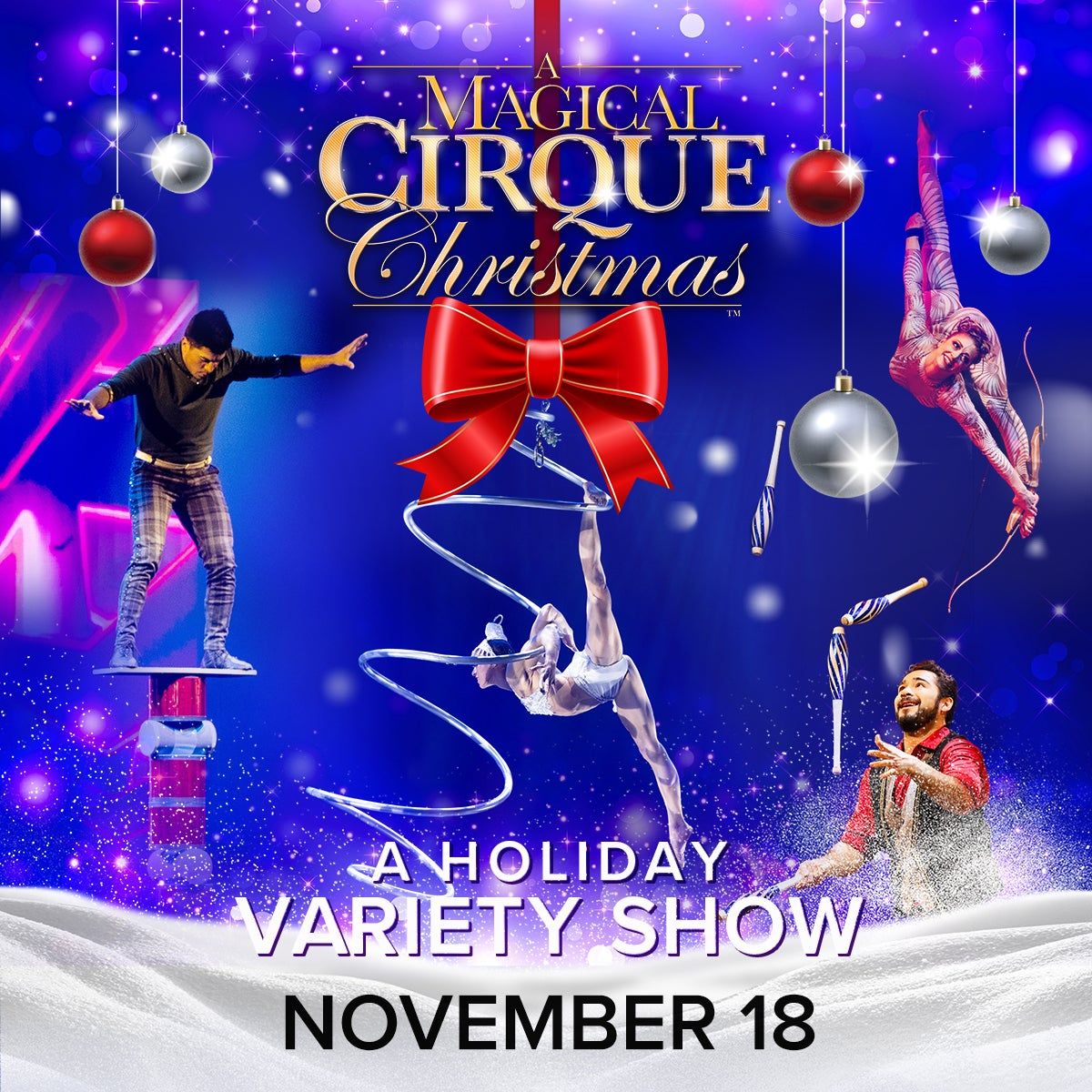 Holiday Variety Show