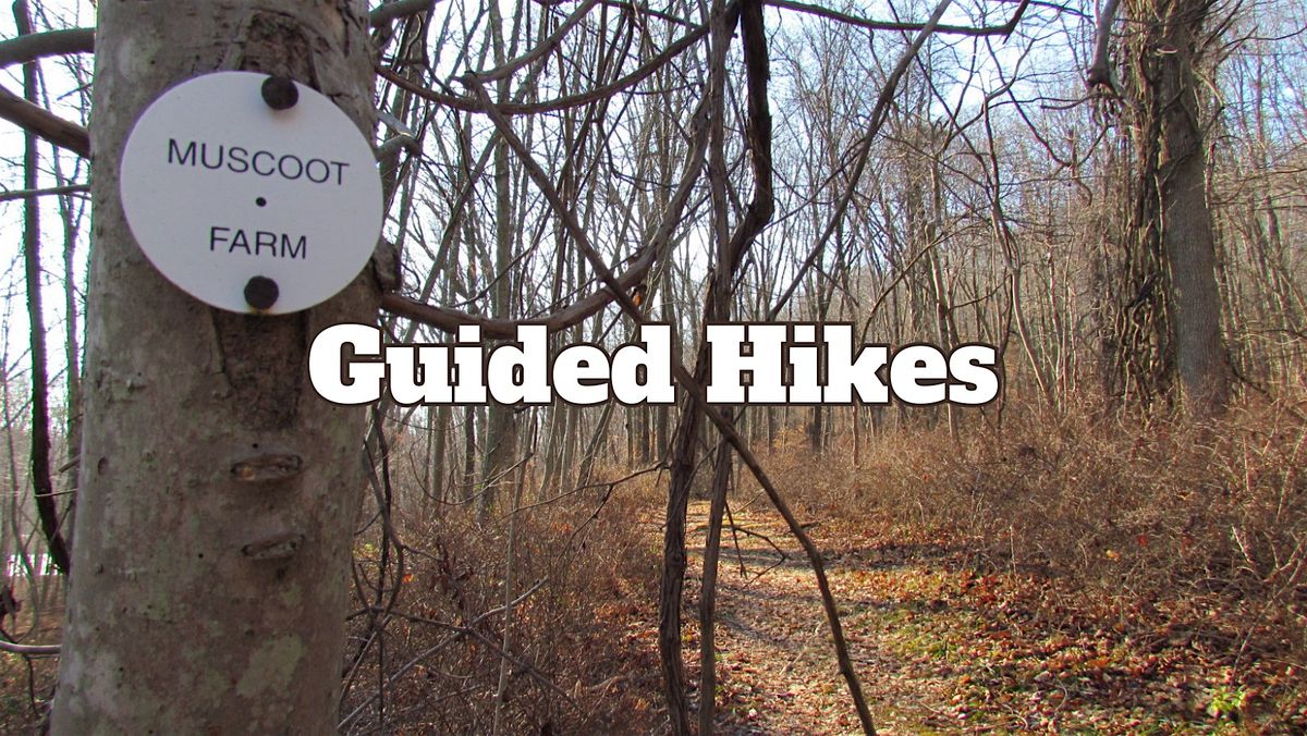 Guided Hikes