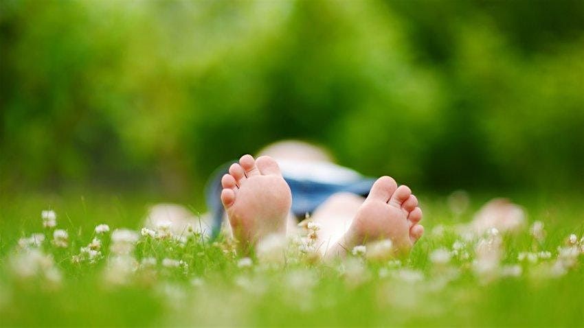 Class in the Grass - Outdoor Vinyasa Yoga with Sound Bowls by Donation