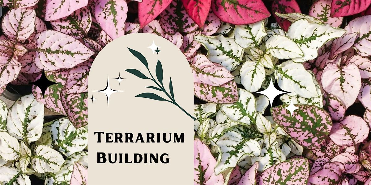 Fairy Garden: Luxe Terrarium
