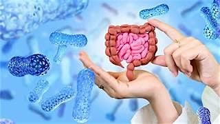 Reconstruct Your Gut