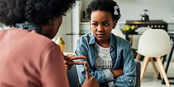 Non-Violence Resistance Parenting Programme (NVR) -2026 Cohort