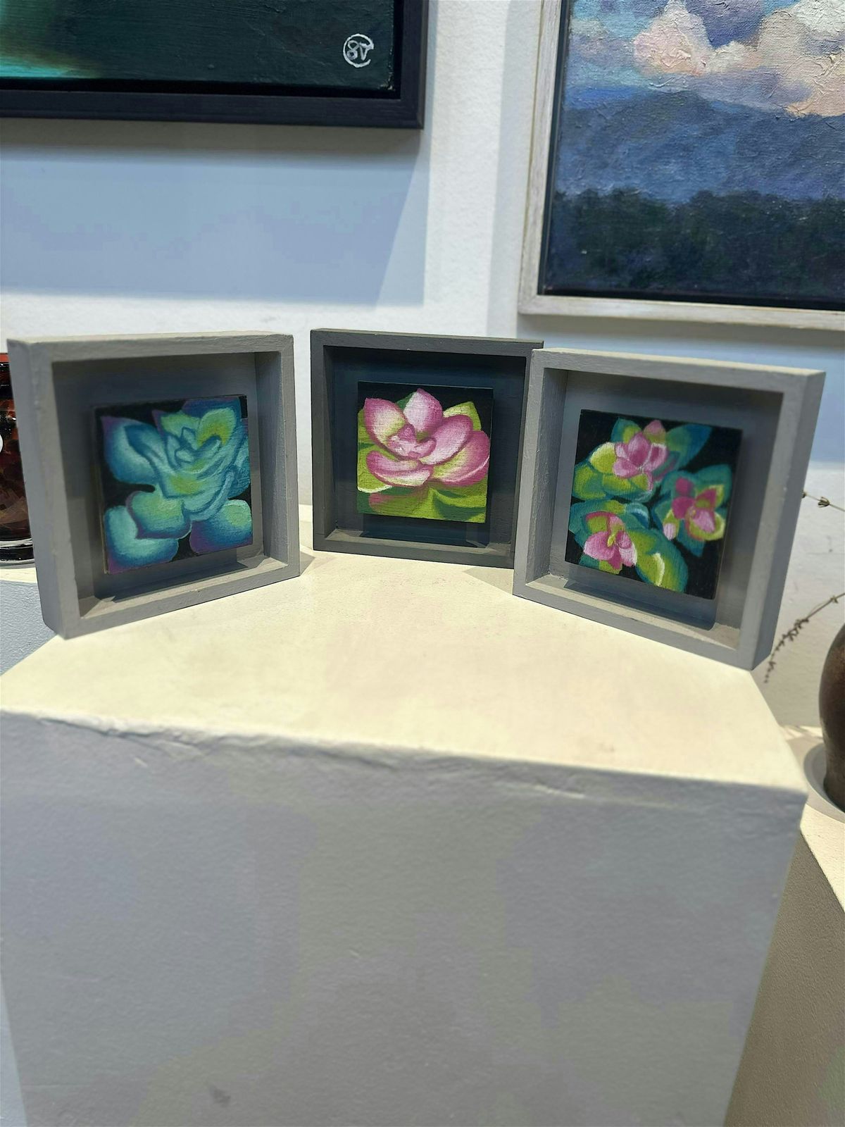 Sweet Succulent Drawings