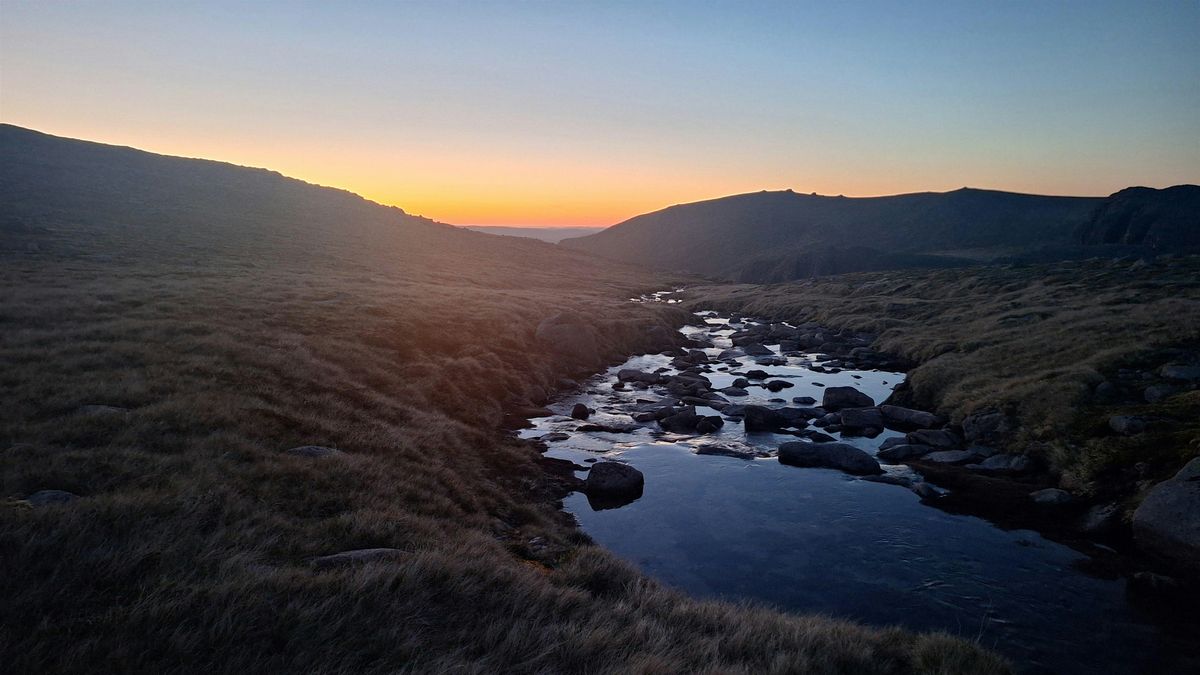 Wild Leadership (Cairngorms)