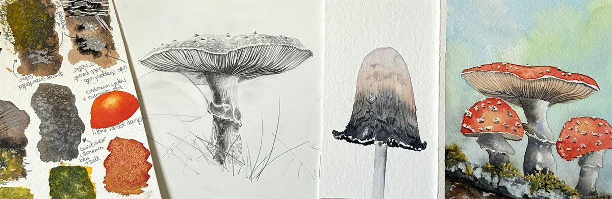 Fantastic Fungi: Techniques and Textures