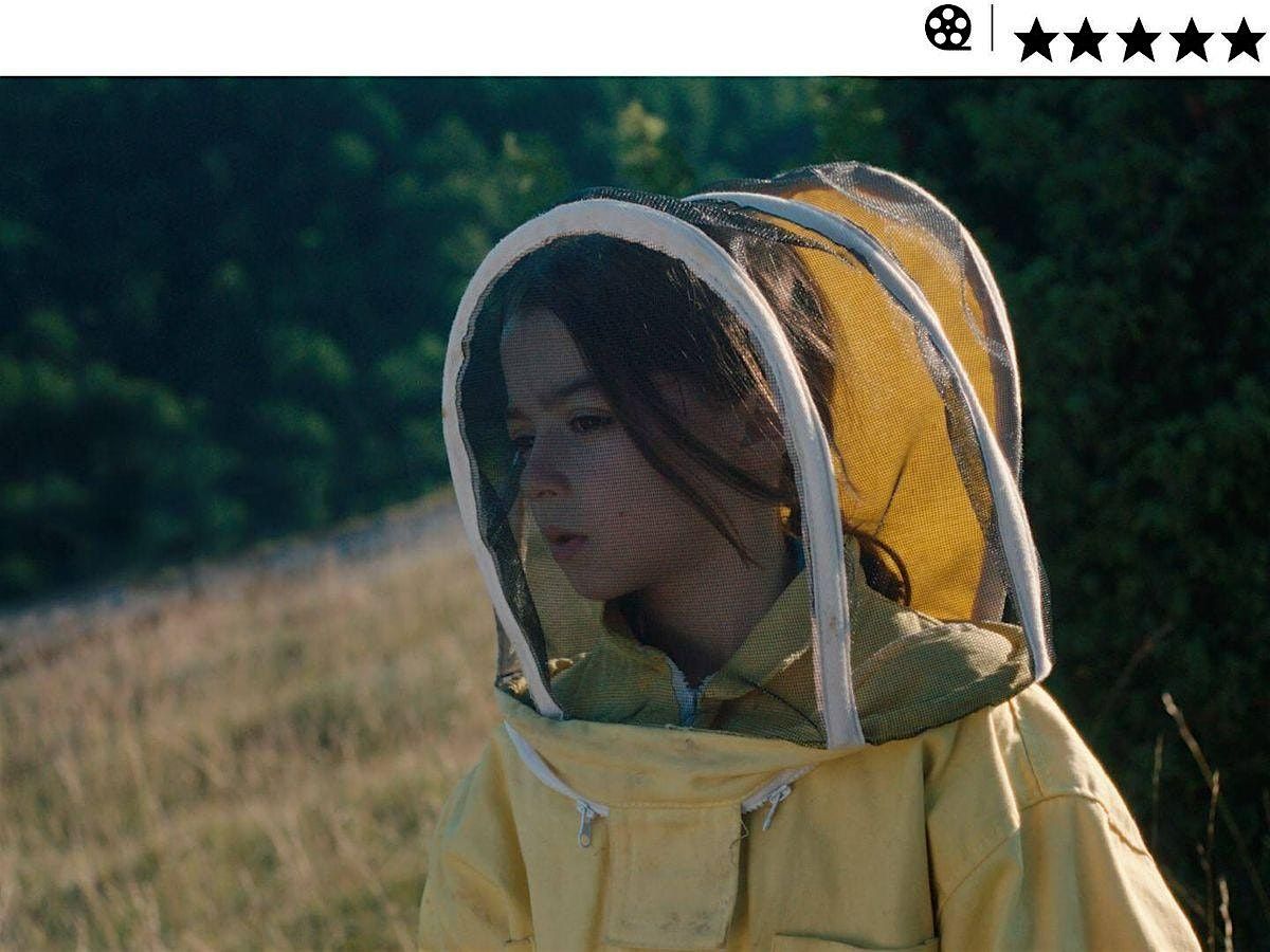 20.000 especies de abejas