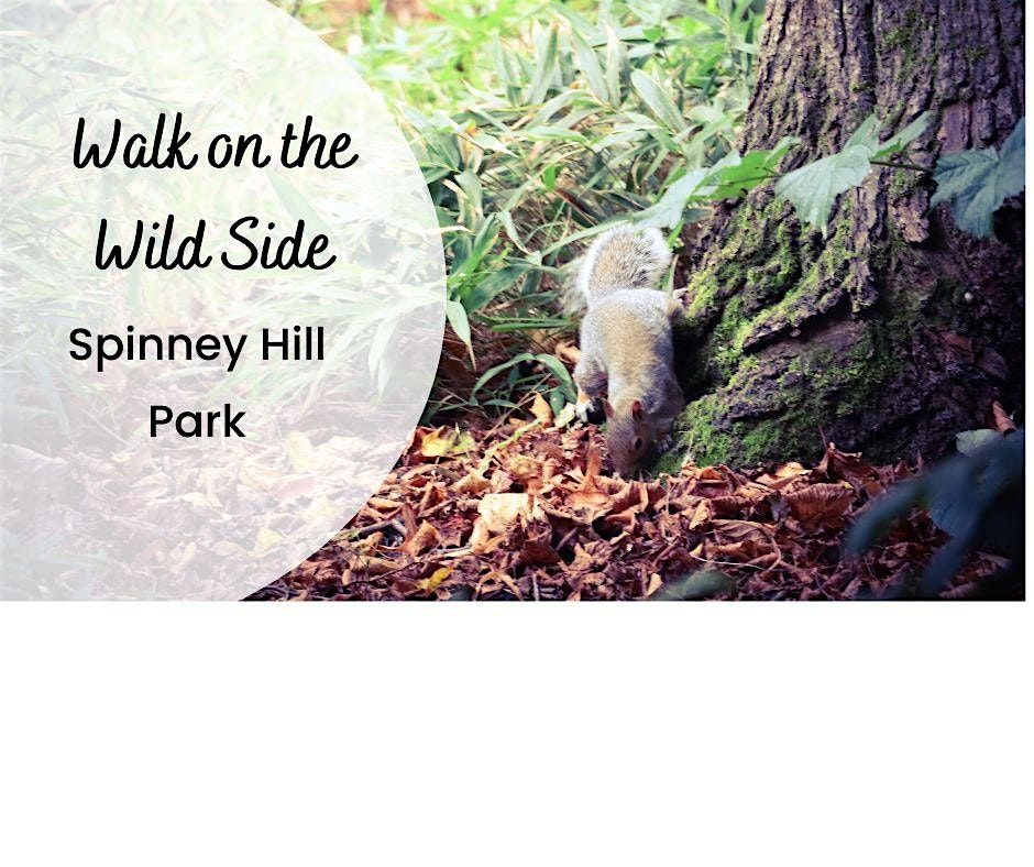 A Walk on the Wild Side in Spinney Hill Park