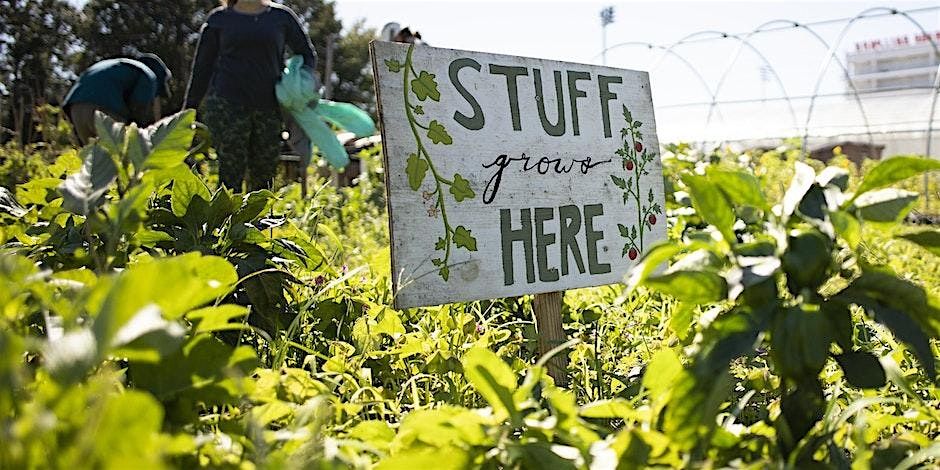 September Demonstration Garden FREE Tour