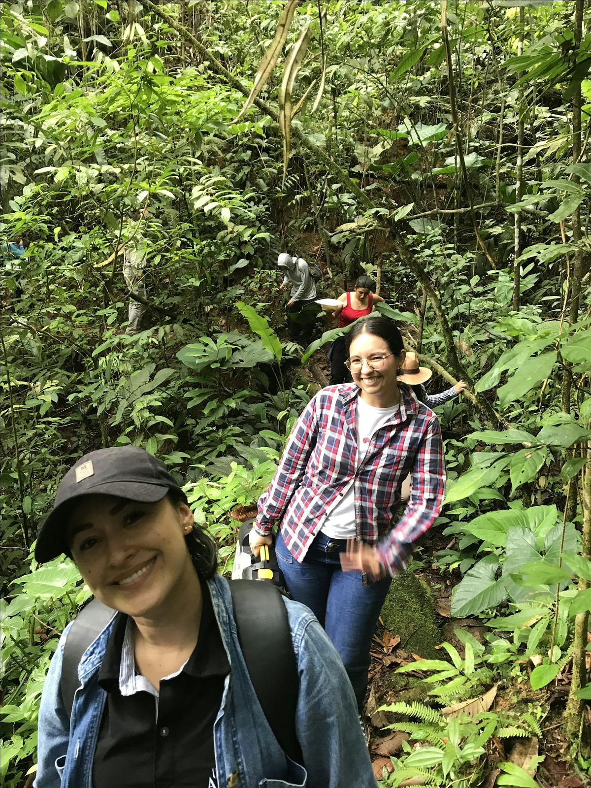 Mycology class and art workshop in Central Park