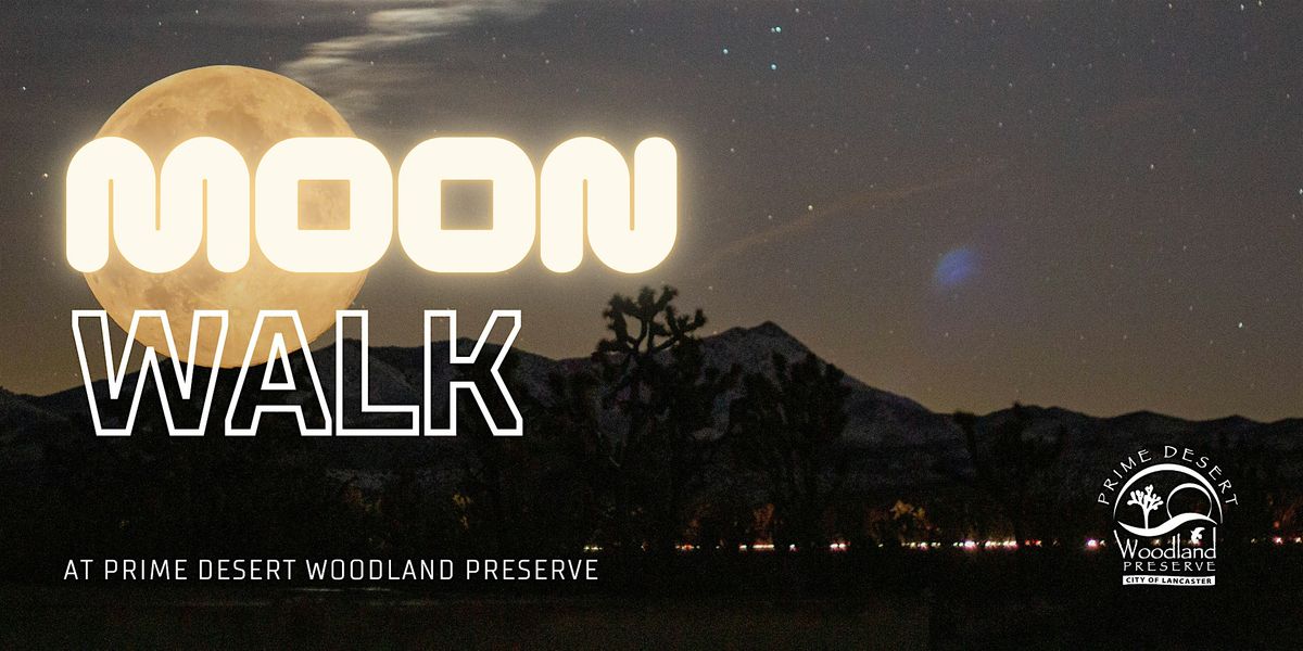 Moon Walks at Prime Desert Woodland Preserve