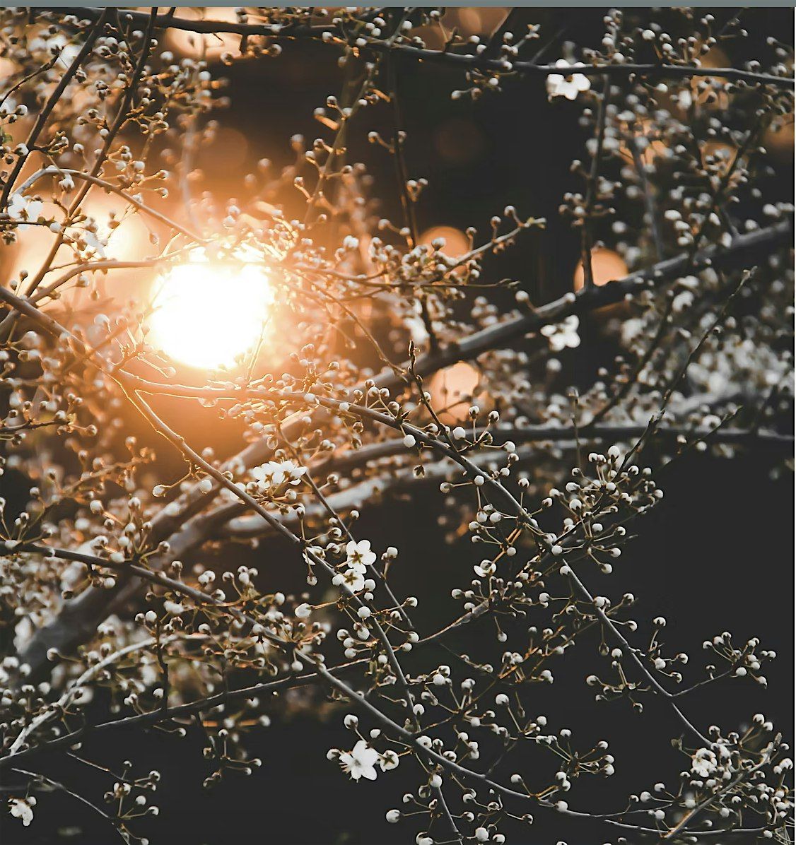 Light Within: A Winter Solstice Rest & Sound Ritual