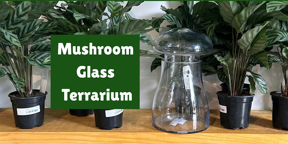 Mushroom Glass Terrarium Workshop