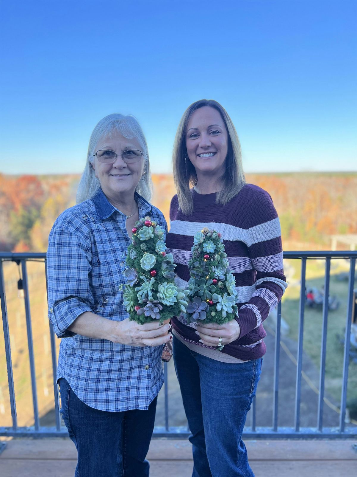 Living Succulent Christmas Tree